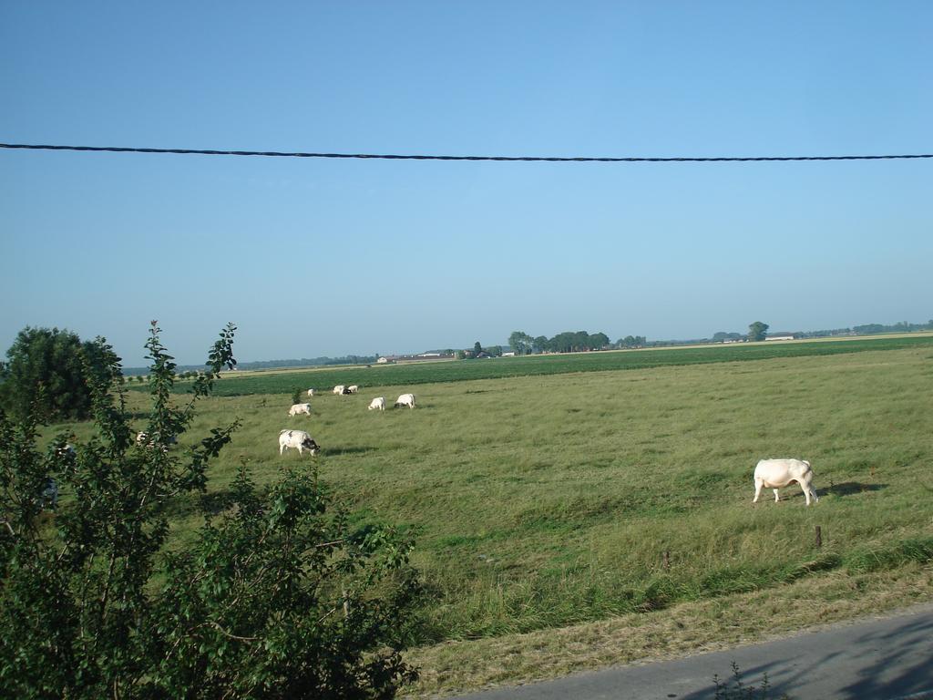 B&B Hoeve 'T Geleed Damme Bagian luar foto